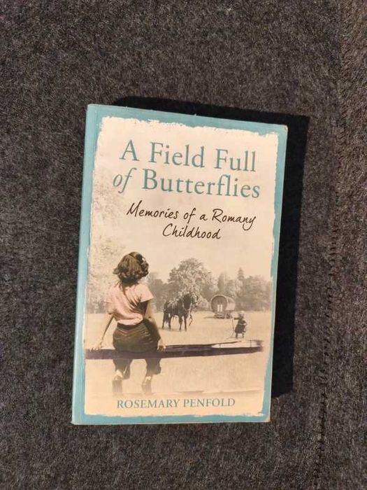 Rosemary Penfold - A Field Full of Butterflies