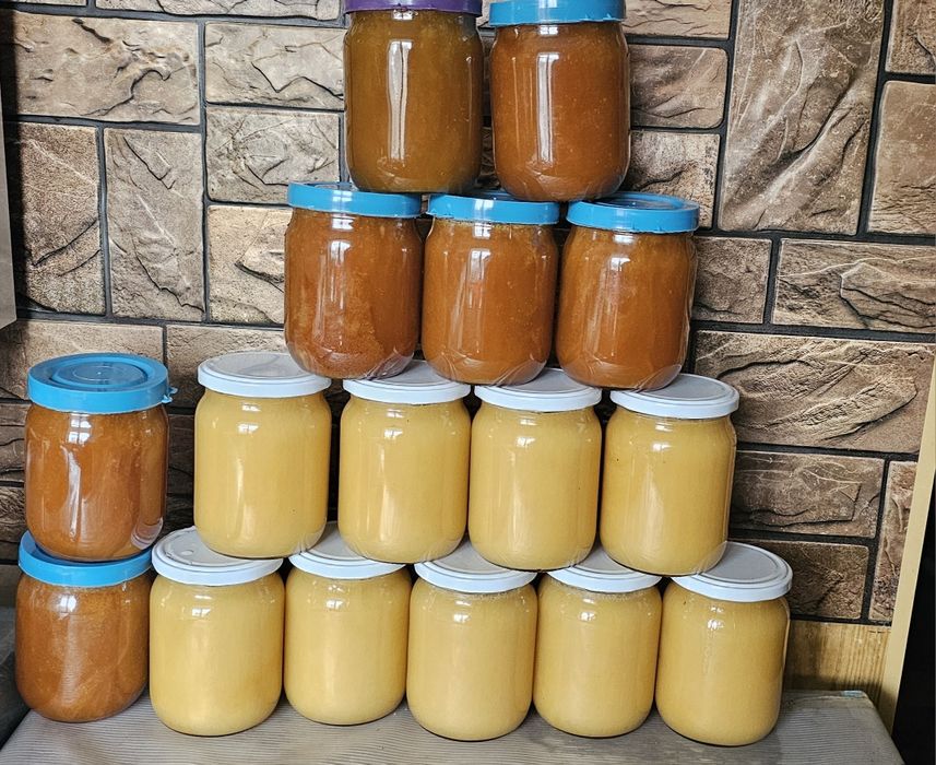 Пилок бджолиний весняний