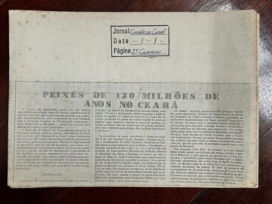 Fossil com com mais de 100 milhoes de anos