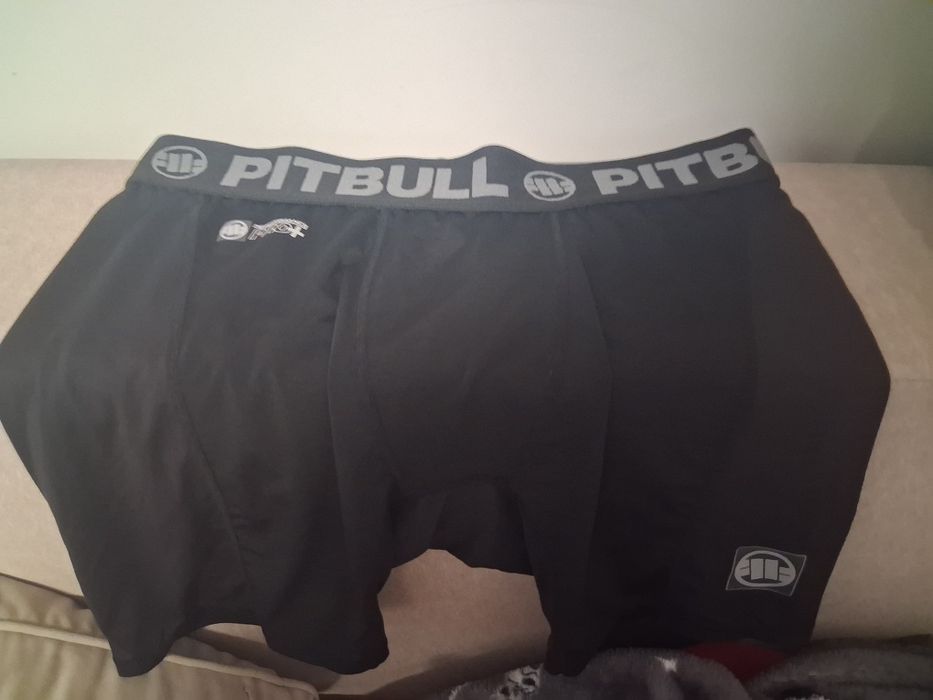 Spodenki trenigowe pitbul