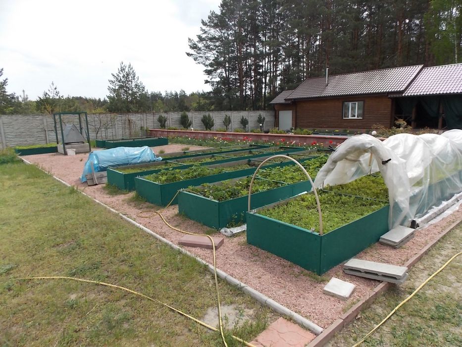 ТЕРМІНОВО! Будинок з ремонтом та укриттям, 25 соток, басейн