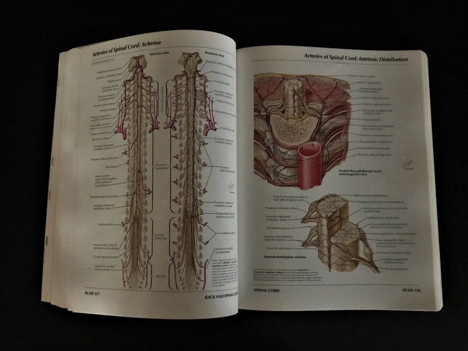LIVRO-Atlas Of Human Anatomy de Frank H., Md Netter