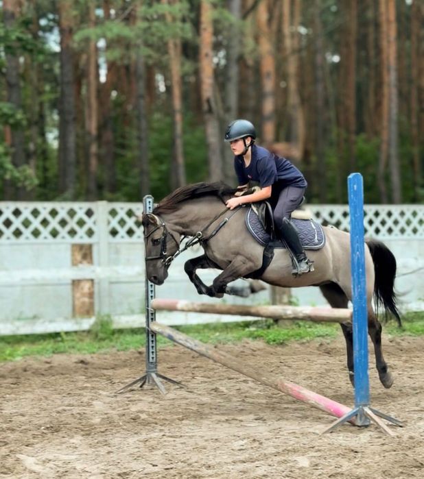 kuc do ambitnej rekreacji lub sportu