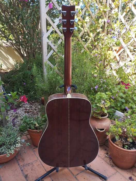 YAMAHA FG-441 Acoustic Guitar / Guitarra