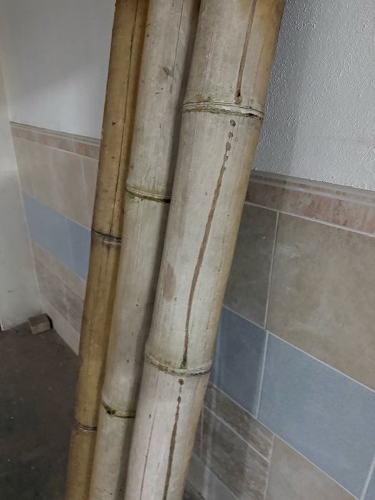 Conjuntos em Bambu ler descrição