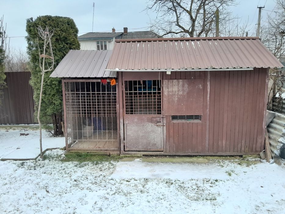 Вольєр для собак