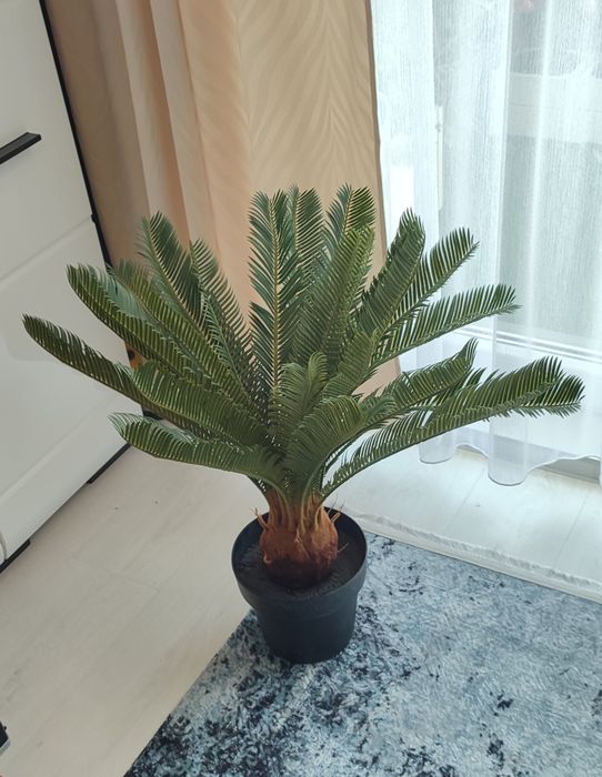 Sztuczna palma cykas