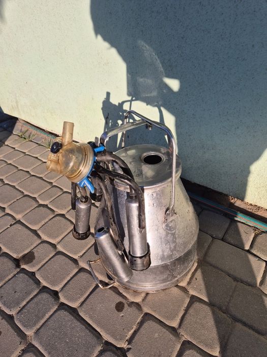 Konwia kana bańka dojarka
