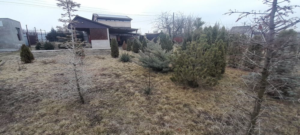 Продам дачу 12 сот  Шевченковский р,н