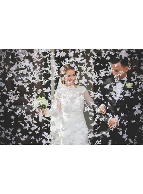 FESTAS / ANIMAÇÃO / SISTEMA DE SOM