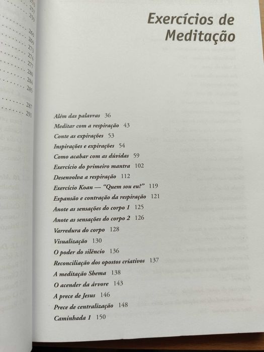 O melhor guia para a Meditação Victor N.  Davich