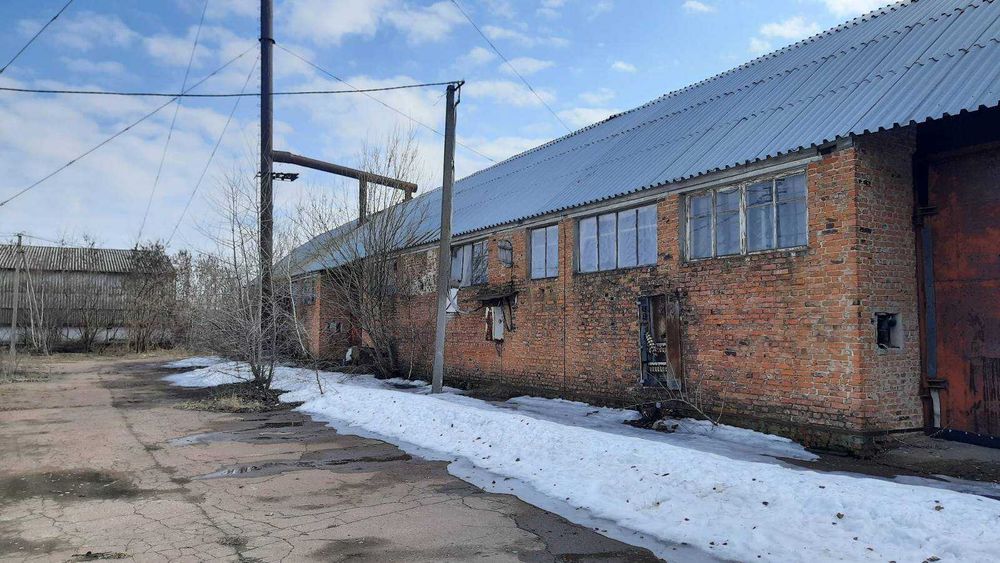 Склад-ангар с. Вознесенське (Ульянівка) - Вид 4