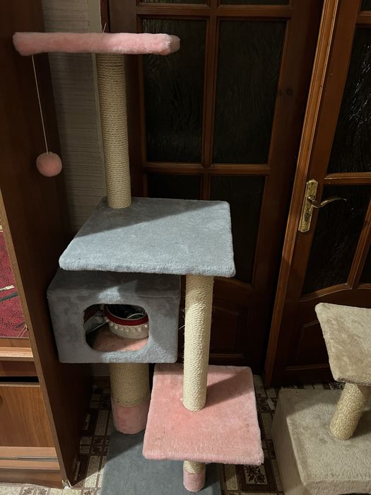 Котячі доміки