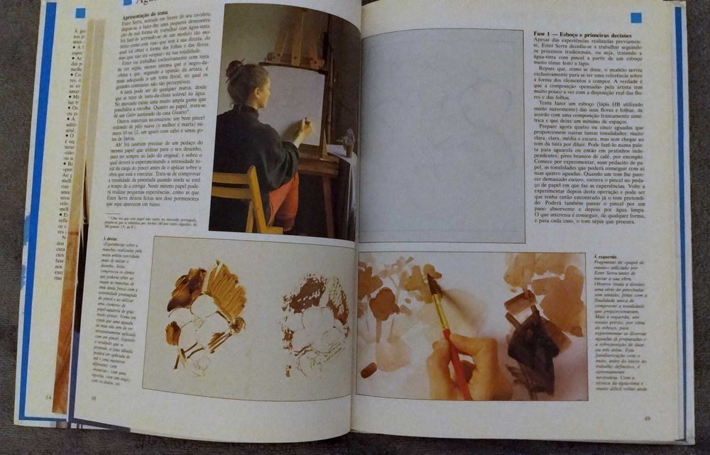 Vendo 4 livros sobre técnicas de pintura.