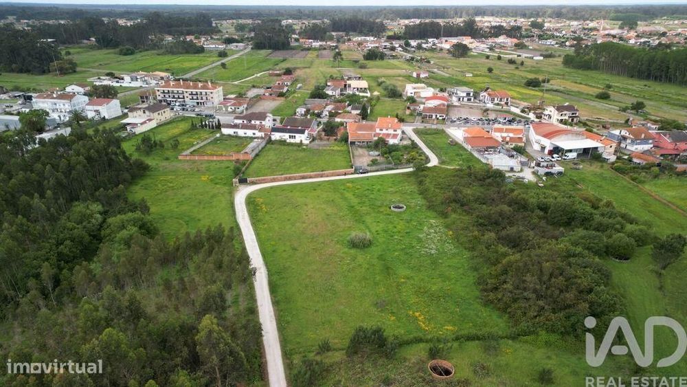 Terreno Agrícola em Vagos e Santo António
