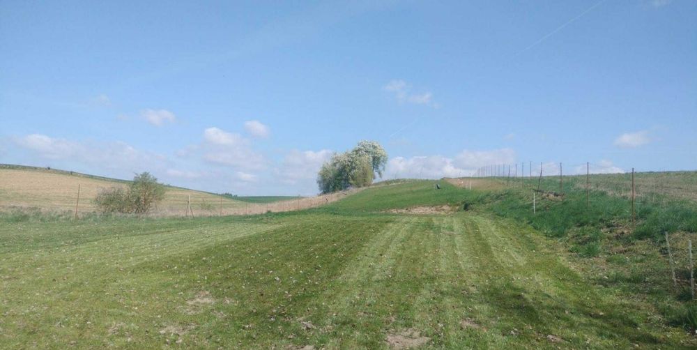 Działka rekreacyjna