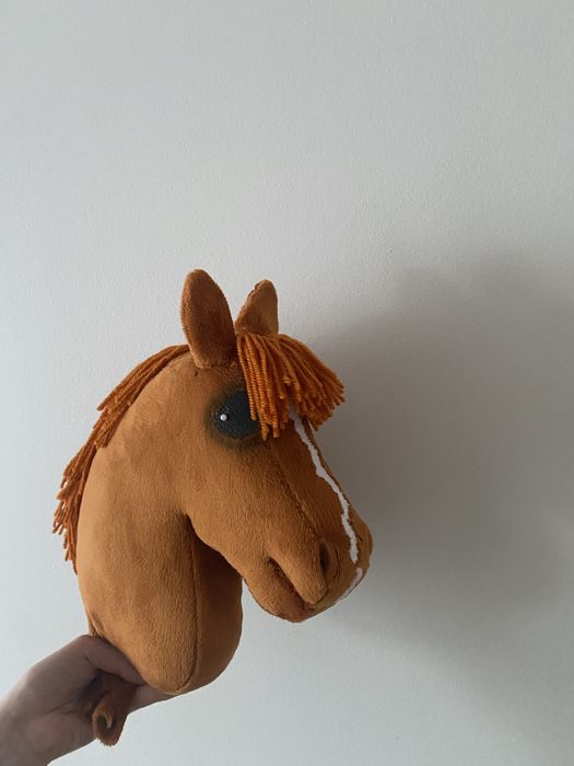 Hobby horse A4 rudy