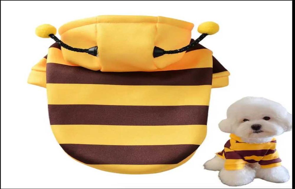 Fantasia Abelha Cão Gato Halloween Natal - Roupa Cosplay Pet