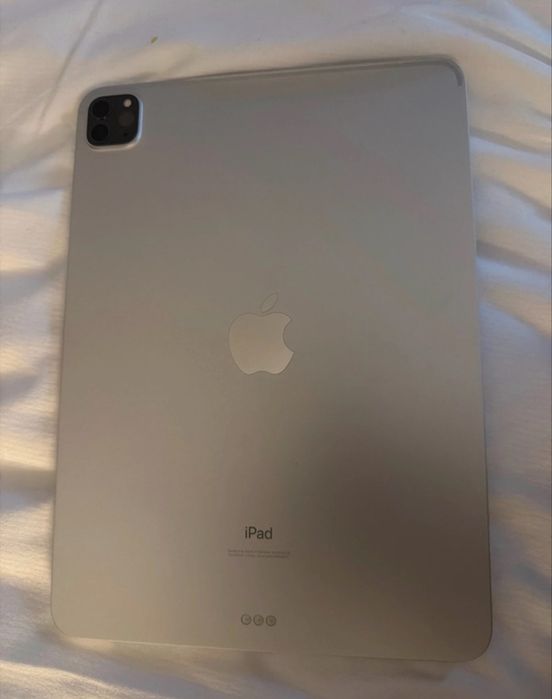 Ipad Pro 11 - A2228 (256gb)