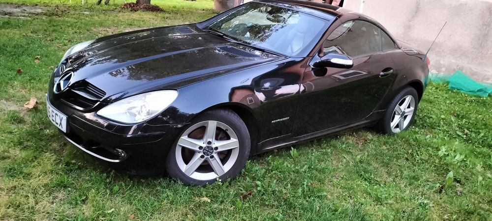 Anglik w ciągłej eksploatacji