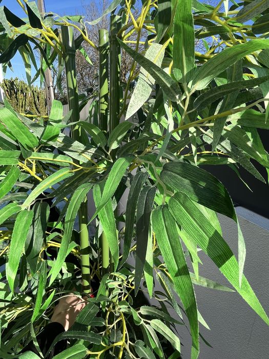 Planta arttifivial 1,90m