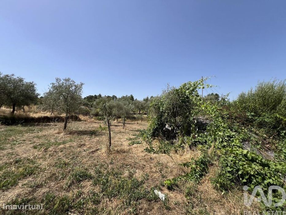 Terreno em Sernancelhe e Sarzeda de 44527,00 m2
