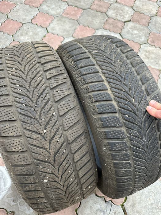 Резина зимова DIPLOMAT