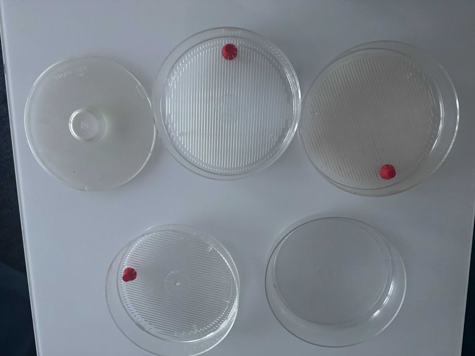 Kiełkownica naczynie do kiełków