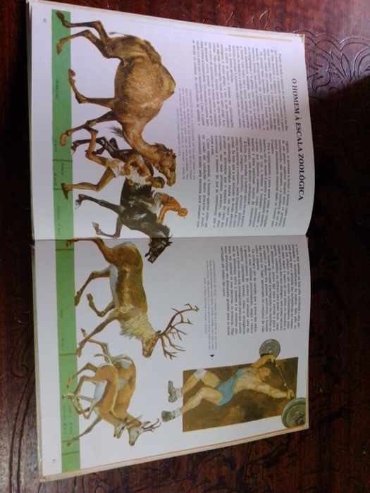 Livro - O Corpo Humano (1982)