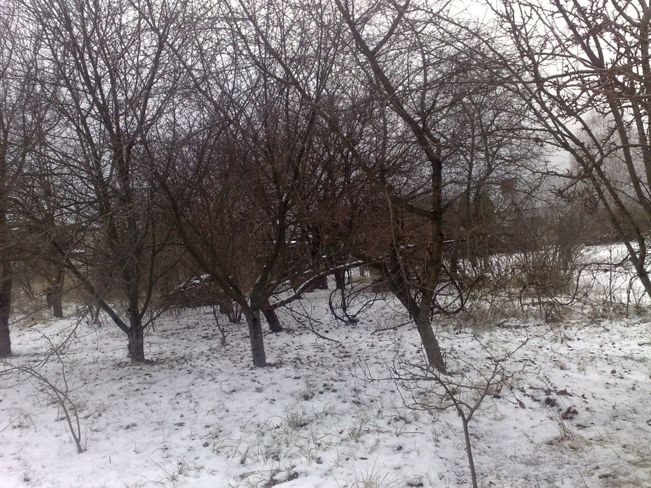 Земельный участок Кулеши