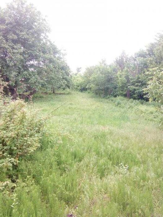 Продам ділянку з будинком під ремонт Баварія