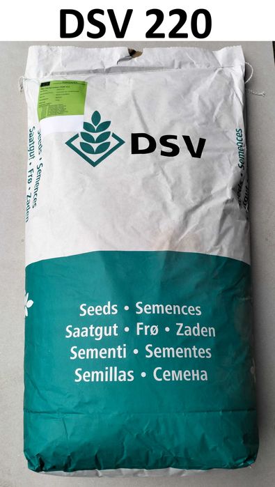 Nasiona trawy DSV 220 10 kg