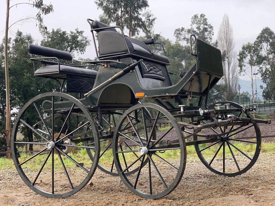 Charrete spider 1/2 cavalos