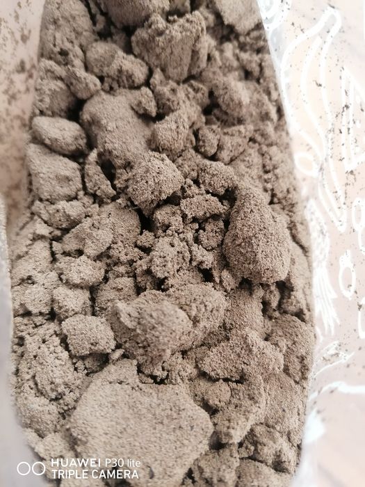 Artemia Mokra Do Wylęgu Jaja