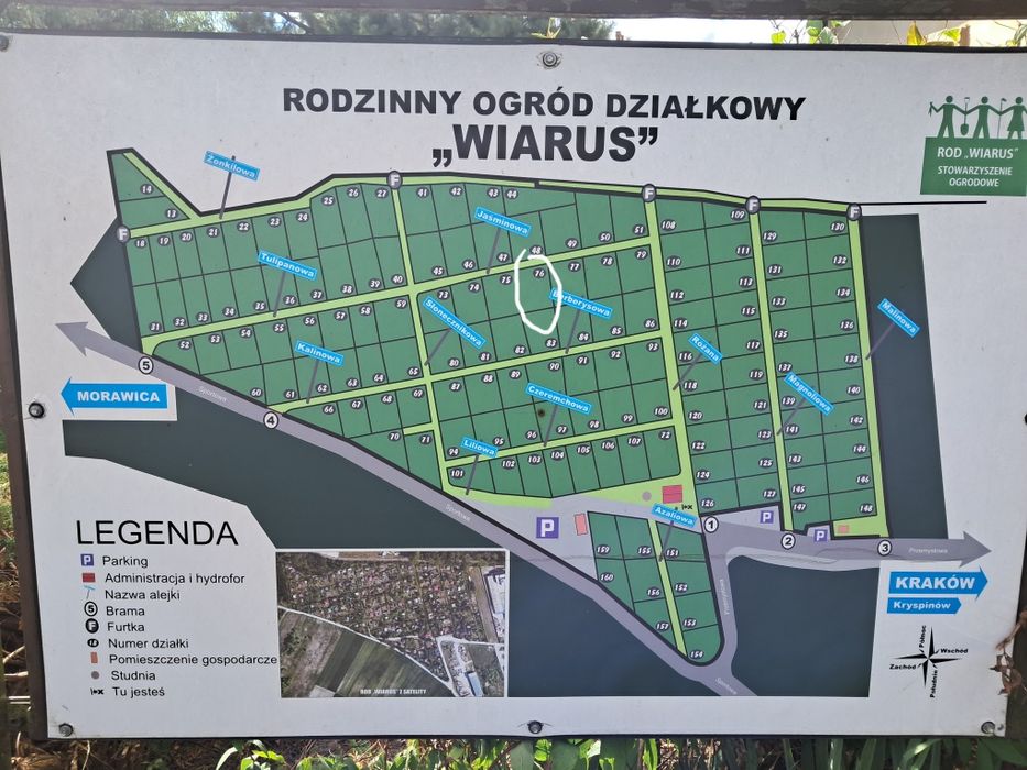 Zdjęcie 8