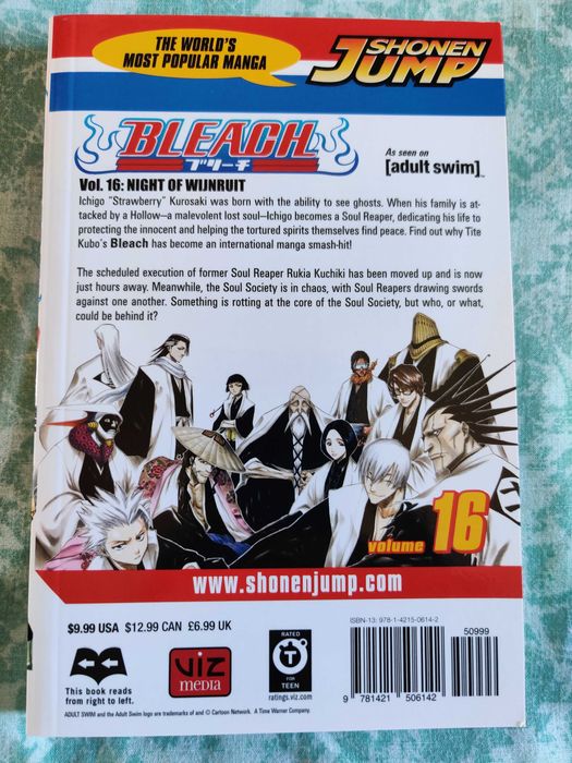 Bleach - Volume 16 (Tite Kubo, VIZ Media)