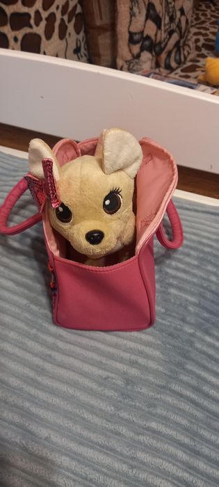 Чічі Лав в сумочці