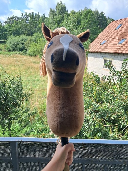 Hobby Horse - koń na kiju