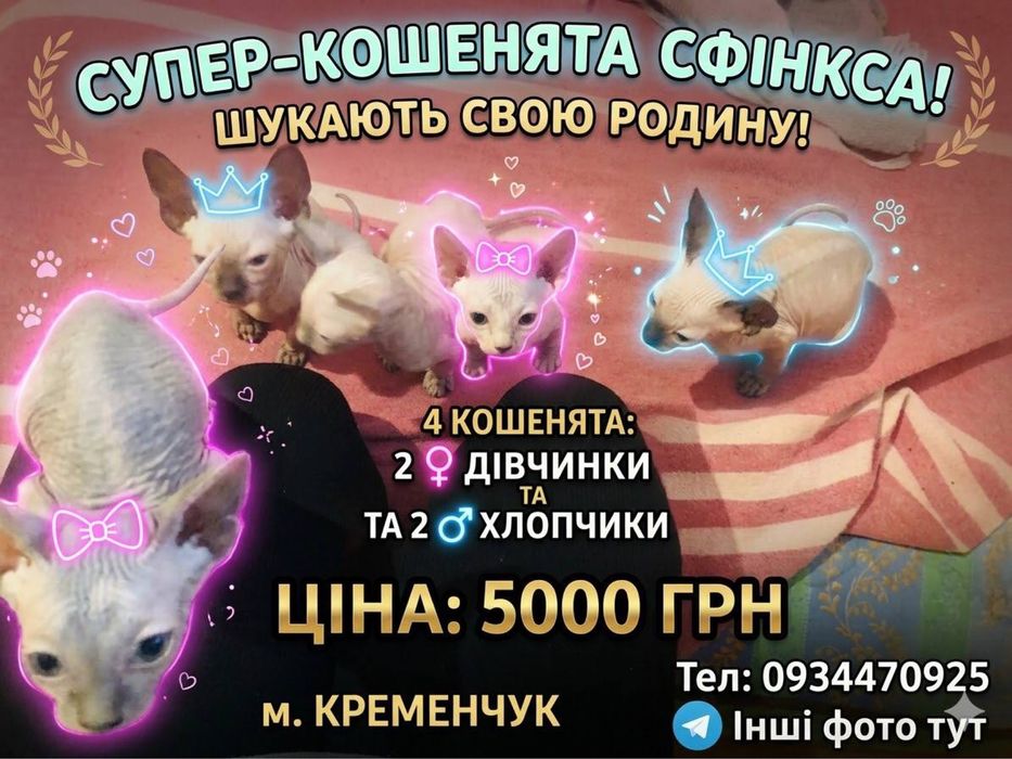 Конадские сфинксы