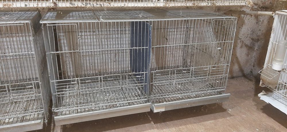 várias gaiolas para venda