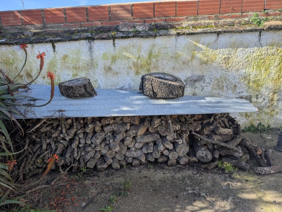 Lenha em vila nova de são Bento