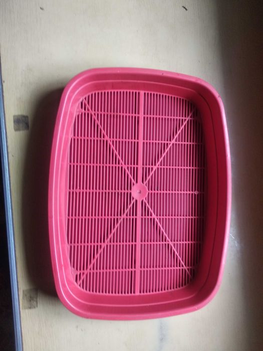 кошачий туалет для котят