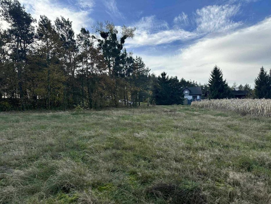 Działka na sprzedaż 4800 m 2 budowlana miejscowość Pałczew Gmina Brójce