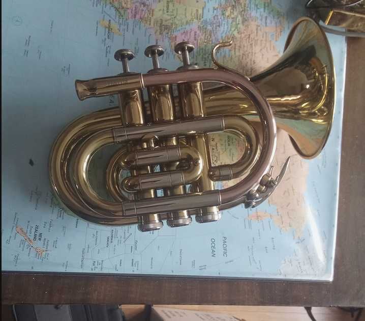 Trąbka Roy Benson PT-302 pocket trumpet kieszonkowa