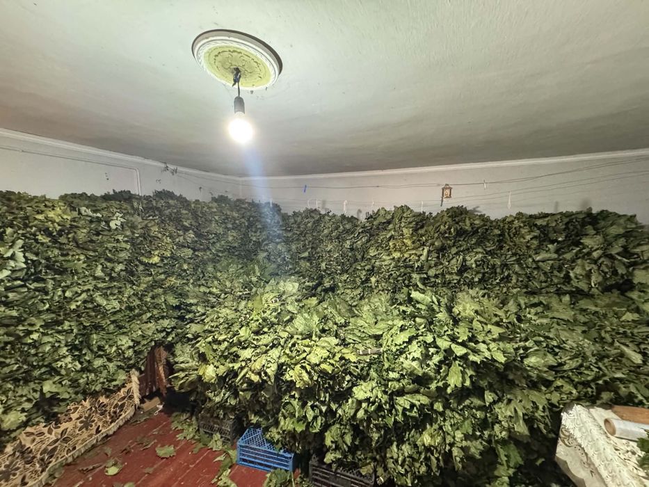 Віники для бані