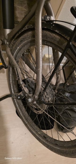 Велик из Германии