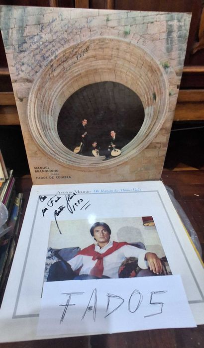 Vários discos de vinil 33 rpm de vários estilos