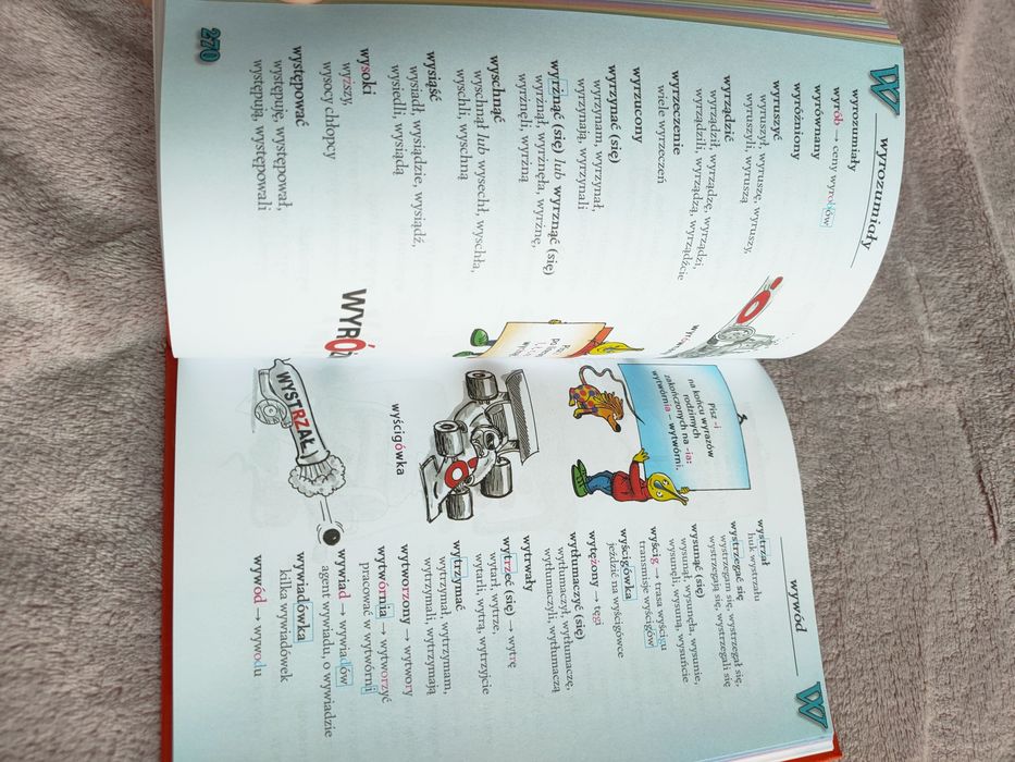 Słownik ortograficzny