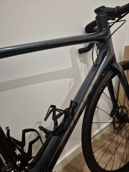 Giant TCR carbono