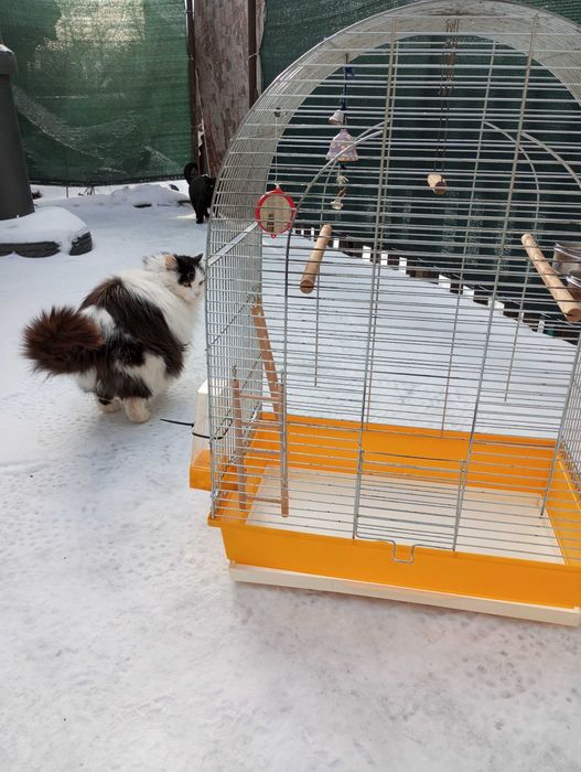 Продам клетку для птицы